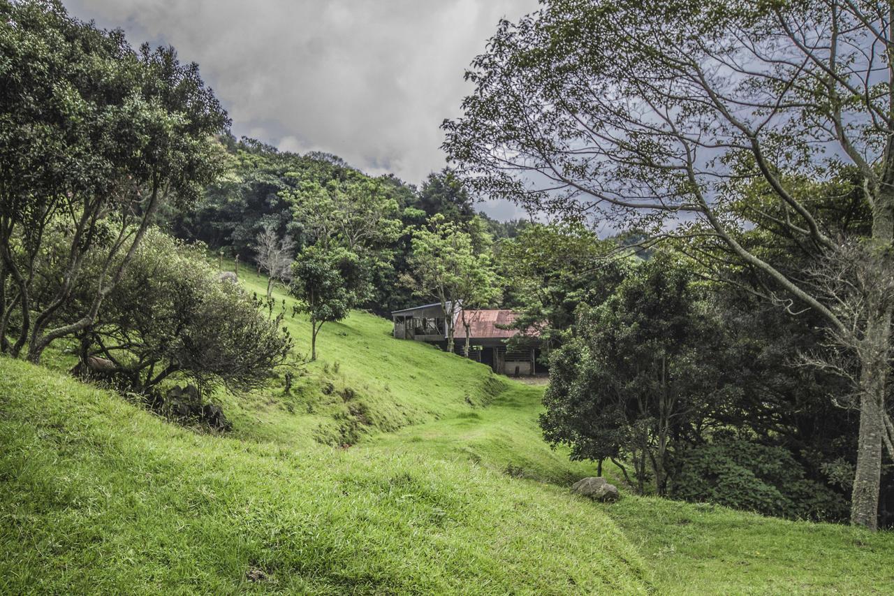 Hotel Alto Palomo Bajos del Toro Esterno foto