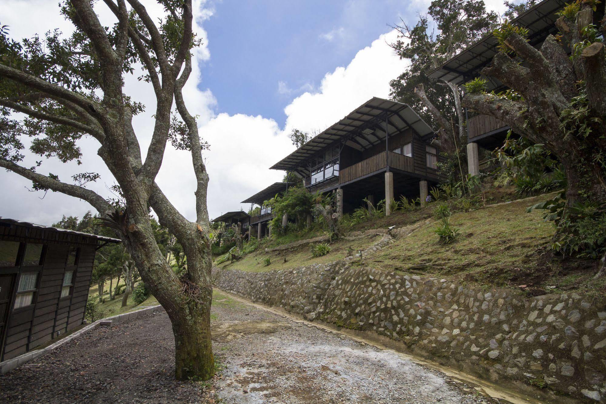 Hotel Alto Palomo Bajos del Toro Esterno foto